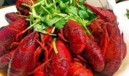 清远网红爆料小龙虾视频,小龙虾背后的秘密，你了解多少？